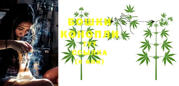 ALPHA-PVP Белокуриха